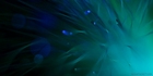 Sean_M_Puckett_Mare_Alpha.jpg