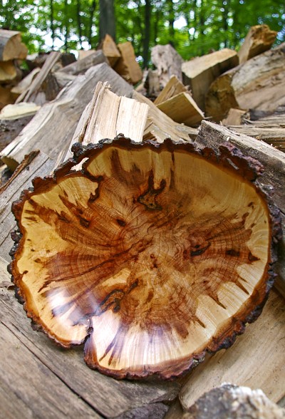 web_Trevor_Ewert_Soft_Maple_Burl_Bowl.jpg