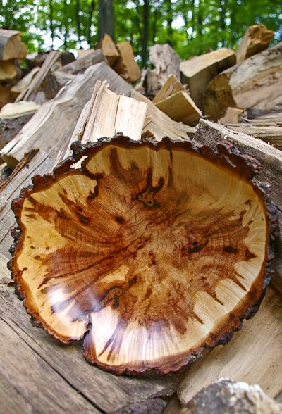 web_Trevor_Ewert_Soft_Maple_Burl_Bowl.jpg