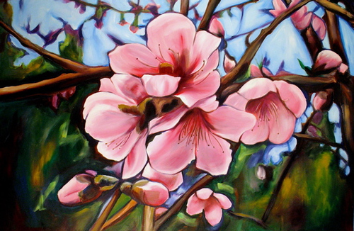 PeachBlossoms.jpg