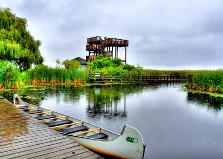 web_Tiffany_McAvoy_Point_Pelee_Lookout.jpg