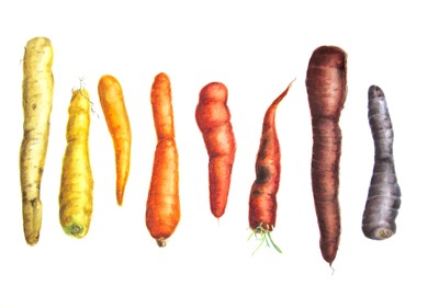 Lee-Angold_Heirloom_Carrots.jpg